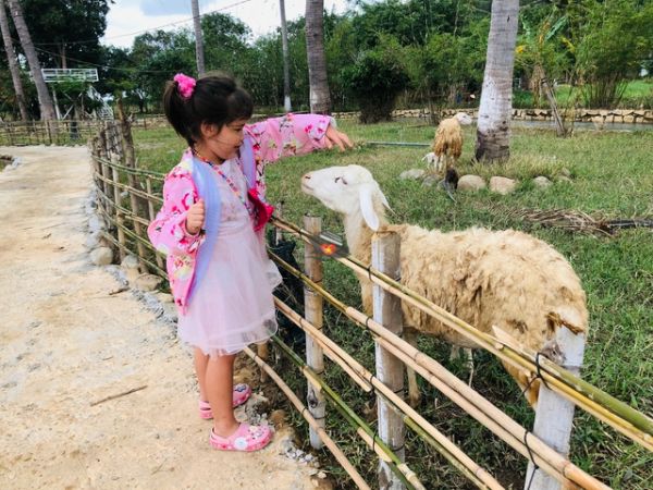 Best Nha Trang Vacation 5 Days Package